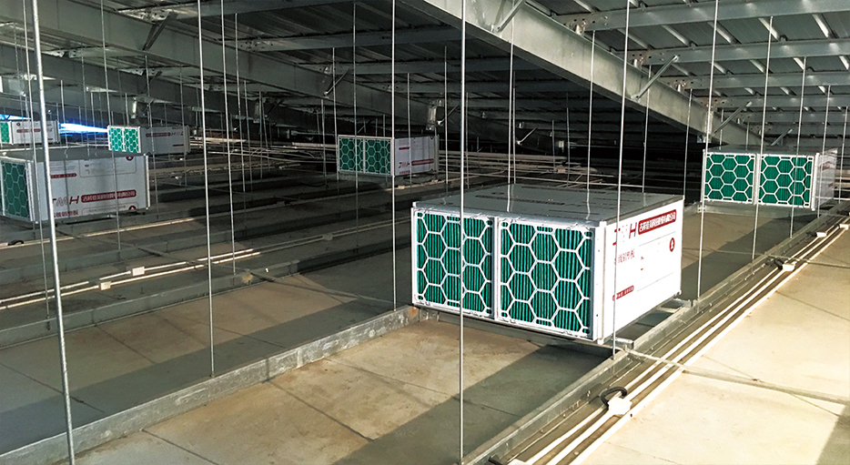 河北杨武头项目Antibio养猪场空气过滤系统顶端入风。