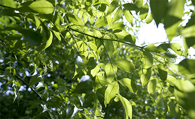 今年会学堂即将启幕