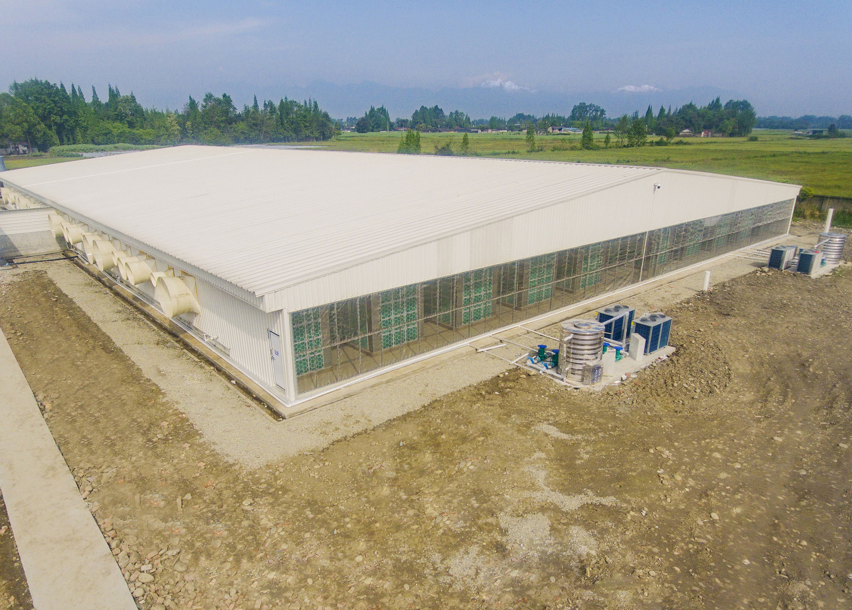 猪场空气过滤（今年会Antibio系统—巨星农牧观胜育种场项目）